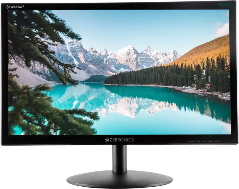 ZEBRONICS 18.5 inch HD LED Monitor