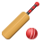 cricketicon